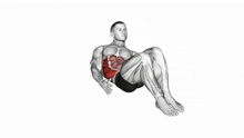 a 3d rendering of a man doing a crunch exercise with muscles highlighted .