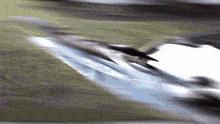 a blurry picture of a bird flying over a grassy field