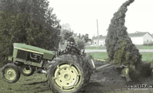 Tree Attack GIF - Ouch Fail GIFs