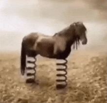 a horse is standing on a spring in the dirt .