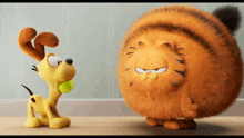 Garfield 2024 GIF - Garfield 2024 The Garfield Movie GIFs