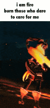 a meme that says i am fire burn those who dare to care