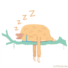 Tidur GIF - Sloth Sleepy Zzz GIFs