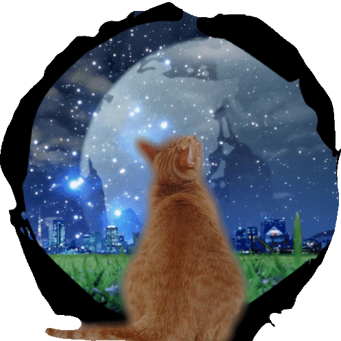 Cat Cat Love Sticker - Cat Cat Love Night Stickers