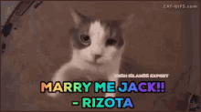 Marry Marry Me Jack GIF - Marry Marry Me Jack Kiro GIFs