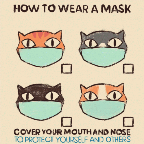 How To Wear A Mask Cover Your Nose GIF - How To Wear A Mask Wear A Mask Cover Your Nose GIFs
