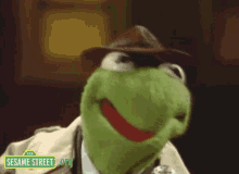 Kermit Shake GIF - Kermit Shake Triggered GIFs