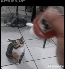 a cat sitting on a tiled floor with a bottle of ketchup in the background