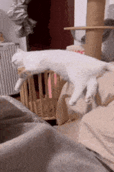 Wake-up Cat White Cat GIF - Wake-up Cat White Cat Cat Explosion GIFs
