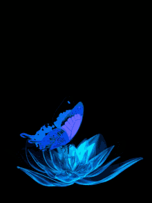 Butterfly Art GIF - Butterfly Art Pretty GIFs