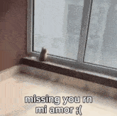 I Miss You And I Cant Wait For U To Come Back Mi Amor GIF - I Miss You And I Cant Wait For U To Come Back Mi Amor GIFs