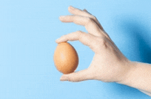 a hand is holding a brown egg in front of a blue background