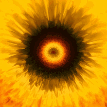 a yellow flower with a red center and a black center