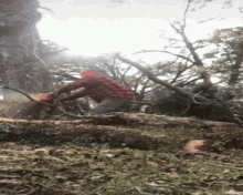 Woodcutter Accident GIF - Woodcutter Accident Fall GIFs