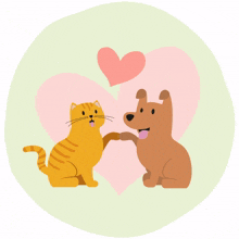 pet love dog and cat