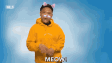 Meow Feline GIF - Meow Feline Cat GIFs
