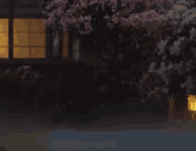 jordi elias zen garden diorama japanese lantern