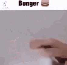 Cat Burger GIF - Cat Burger Catburger GIFs