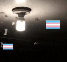 a light bulb hanging from the ceiling with a transgender flag in the corner