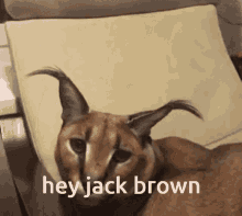 Hey Jack GIF - Hey Jack Brown GIFs