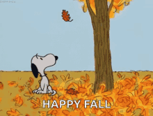 Snoopy Fall GIF - Snoopy Fall Falling GIFs