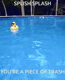 Insult Quirky GIF