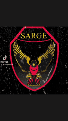 Logosarge Sargelechef GIF - Logosarge Sargelechef Sargeyoutube GIFs
