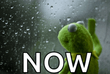 a kermit the frog is looking out a window with the word now behind him