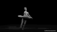 Ballet Dance GIF - Ballet Dance GIFs