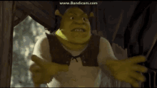 Shrek Strangle GIF - Shrek Strangle Kill You GIFs