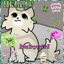 a picture of a dog with the words hello babygirl written on it