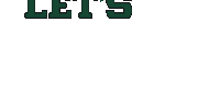 let 's go vikings logo on a white background