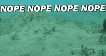 Nope GIF - Octopus Nope Do Not Want GIFs
