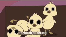 duckling terrified quaking
