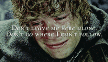 Lotr Samwise GIF - Lotr Samwise Lord Of The Rings GIFs