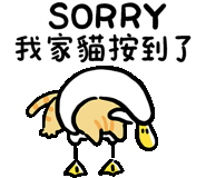 a cartoon duck with chinese writing on it says sorry