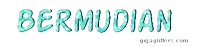 the word bermudian is written in blue glitter