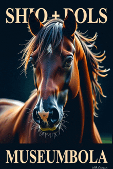a painting of a brown horse with the words sho + dols museumbola