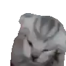 a pixelated image of a cat looking at the camera .