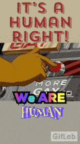 a poster that says " it 's a human right "