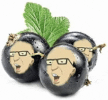 three black currants with cartoon faces on them and a green leaf .