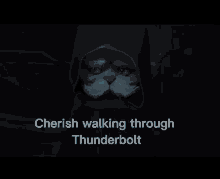cherish walking hiemerdinger thunderbolt cherish walking