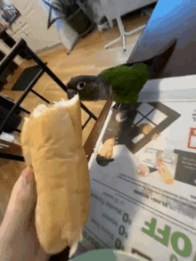 Parrot Dog GIF - Parrot Dog Sandwich GIFs