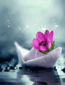 Beautiful Flower GIF