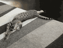 Attack Attacked GIF - Attack Attacked Hobbes GIFs