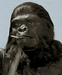 Planetoftheapes Gorilla GIF - Planetoftheapes Ape Gorilla GIFs