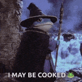 a frog in a wizard costume is holding a cane and says i may be cooked