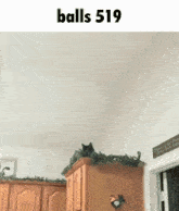 a picture of a cat sitting on a cabinet with the words balls 519 below it