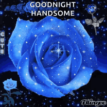 night goodnight cute rose blue rose