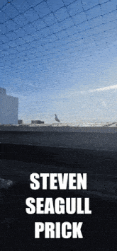 a picture of a seagull behind a fence with the name steven seagull prick